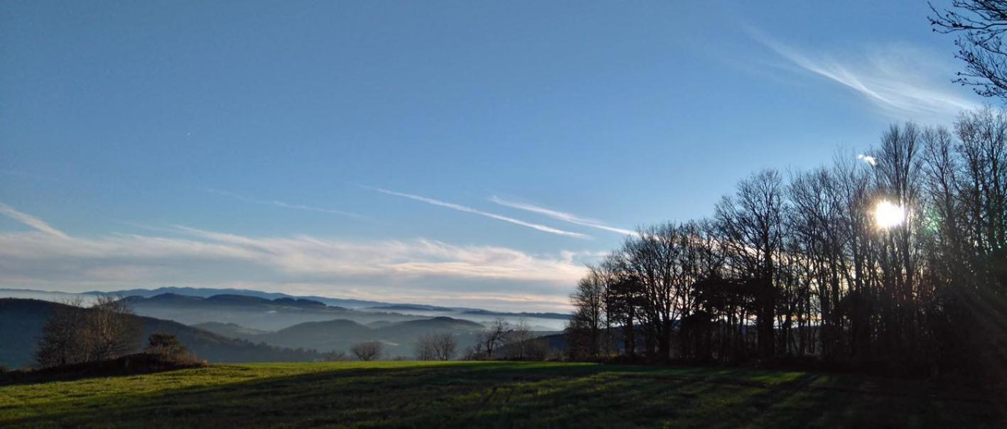 Gites Des Esselards Yzeron Esterno foto