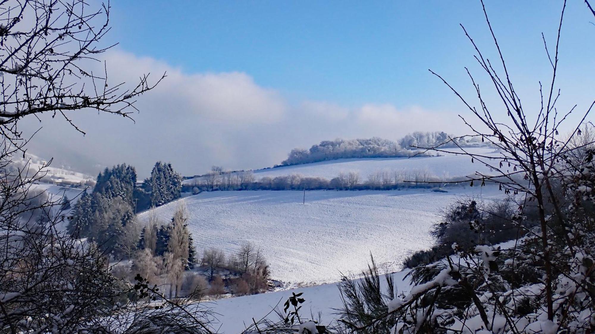 Gites Des Esselards Yzeron Esterno foto